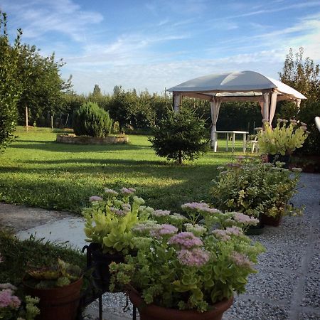 I Due Orfici Bed & Breakfast Cona  Eksteriør bilde