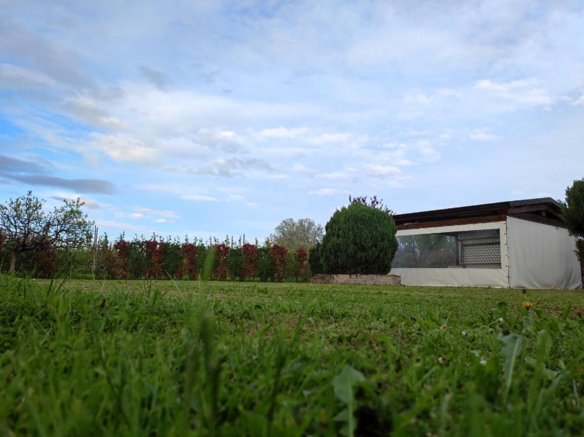 I Due Orfici Bed & Breakfast Cona  Eksteriør bilde