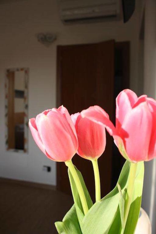 I Due Orfici Bed & Breakfast Cona  Eksteriør bilde